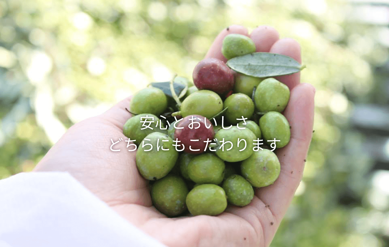 安心とおいしさ どちらにもこだわります